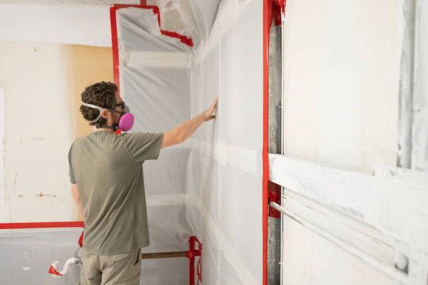 Duluth, MN Mold Removal Company