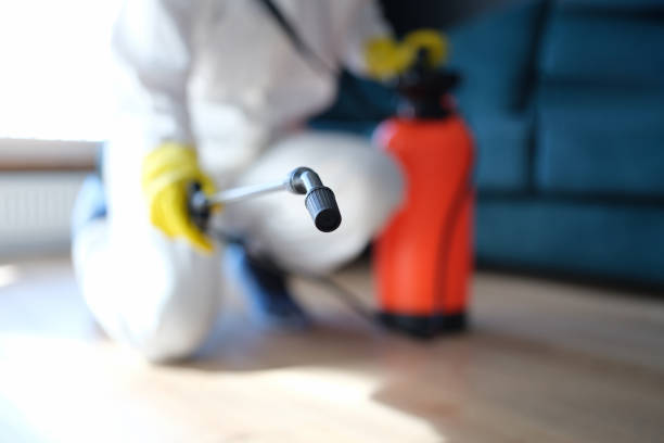 Best Mold Remediation for Healthcare Facilities  in Duluth, MN