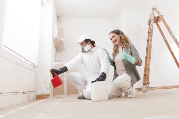 Best Residential Mold Inspection & Testing  in Duluth, MN