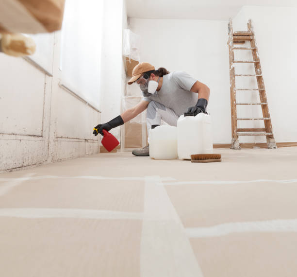 Best Emergency Mold Remediation  in Duluth, MN