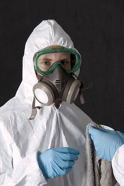 Best HVAC Mold Inspection and Cleaning  in Duluth, MN